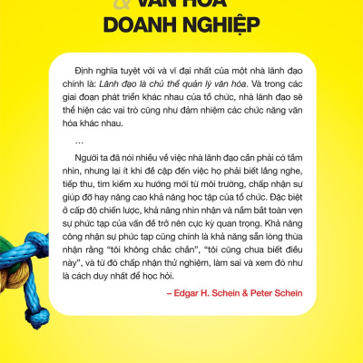 Lãnh Đạo Và Văn Hóa Doanh Nghiệp - Edgar H Schein, Peter Schein