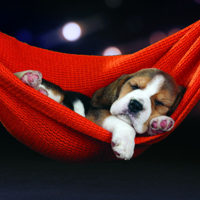 Tranh xếp Hình Tia Sáng - Vô Ưu (247 Mảnh Ghép)