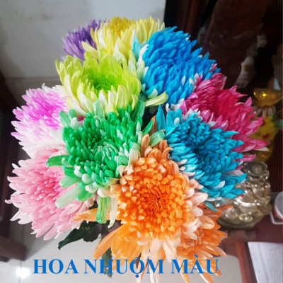 Nước Màu Nhuộm Hoa Tươi Màu Cam Israel (Chai 1 Lít) Color Sodium For Fresh Flowers