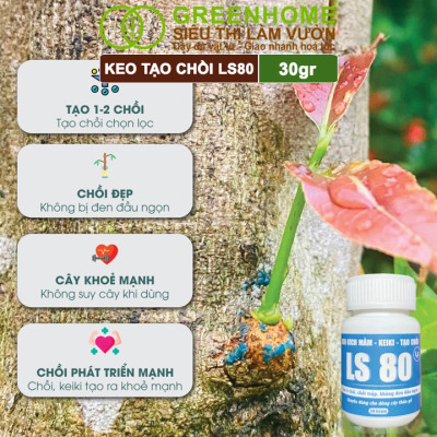 Keo Tạo Chồi LS80, Greenhome, Hũ 30gr, Tạo Mầm Tại Vị Trí Bất Kỳ, Có Chọn Lọc, Không Suy Cây, Đen Chồi