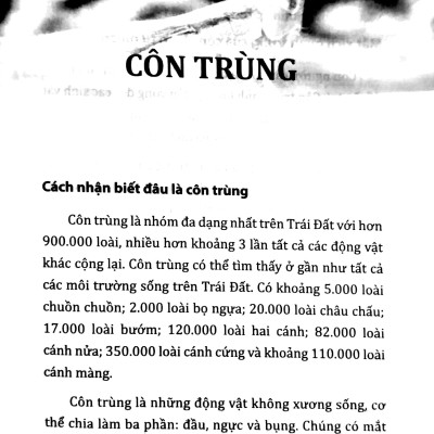 Tri Thức Bách Khoa - Côn Trùng, Loài Cá, Động Vật Lưỡng Cư