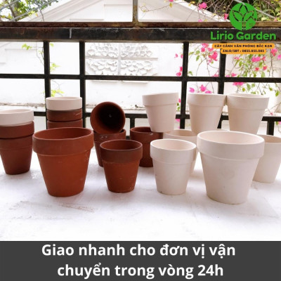 combo 10 chậu đất nung màu nâu