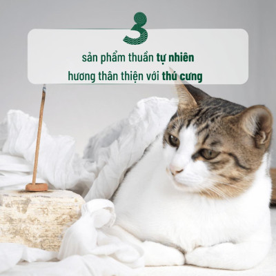 Nhang Thủ Công 3 Lành Hộp 30 Que Nhiều Mùi 100 % Tự Nhiên Tặng Kèm Đế Chăm Không Hóa Chất Xông Thơm