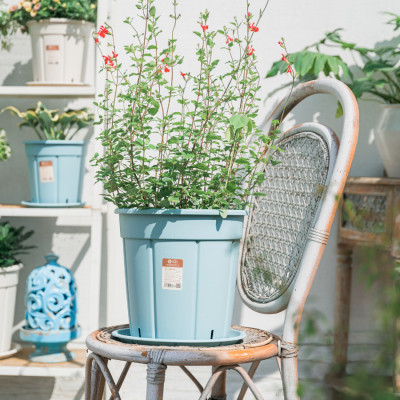 Chậu trồng cây decor MONROVIA kèm đĩa lót, trồng hoa, trang trí trong nhà, ngoài trời, ban công, tiêu chuẩn châu Âu