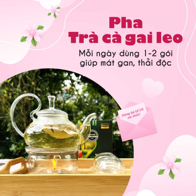 Trà cà gai leo túi lọc cà dây leo của siêu thị thiên nhiên