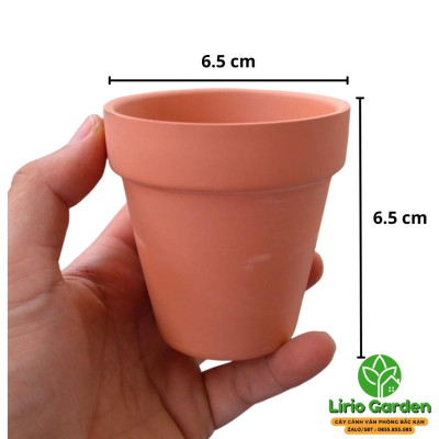 combo 10 chậu đất nung màu nâu