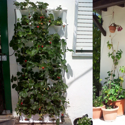 08 Chậu trồng rau thông minh Không thay đất Vertical (màu trắng) nhập khẩu Bồ Đào Nha kèm bộ tưới nhỏ giọt và bón phân Bán tự động (khu vực Không có vòi cấp)