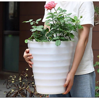 Combo từ 1 đén 2 chậu vòng tròn trồng cây cảnh bằng nhựa ABS bóng cao cấp  M 32 cm x C 35cm Màu trắng
