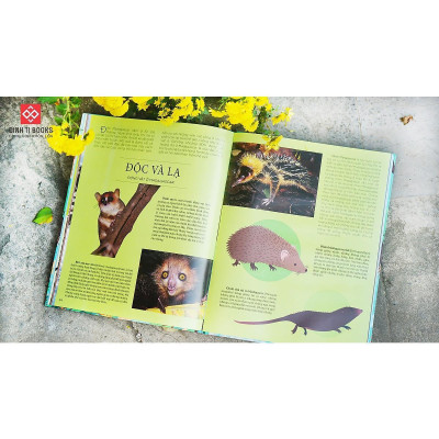 Sách - Bách Khoa Tri Thức Về Các Kỳ Quan Thế Giới - Đinh Tị Books