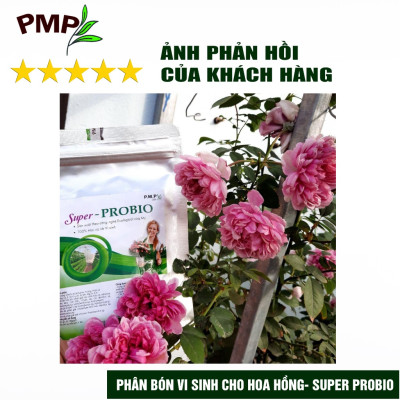 Combo Phân Hữu Cơ Cao Cấp Super Probio & Giá Thể Bã Mía Cho Hoa Hồng, Rau Sạch, Cây Cảnh