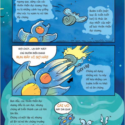 Siêu Nhí Khám Phá Đại Dương