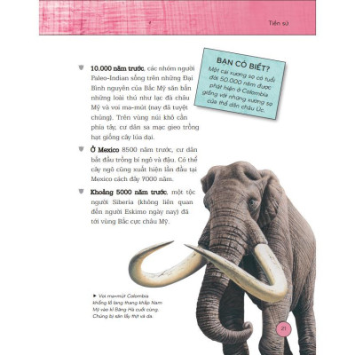 Sách - Bách Khoa Thư Lịch Sử - Từ Tiền Sử Đến Thời Đại - Bìa Cứng - Minh Thắng