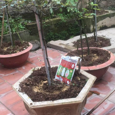 Chế phẩm sinh học    -  Chuyên cải tạo đất, thay thế phân hữu cơ, vô cơ, trị vàng lá thối rễ