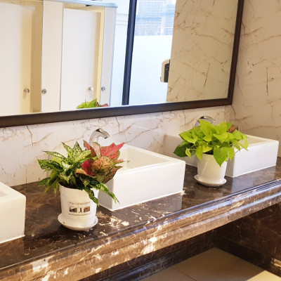 Chậu trồng cây trong nhà cao cấp Minigarden Basic Pot S (Combo 5 chậu) nhập khẩu Châu Âu, Nhựa PP Chống UV, có khả năng tự hút nước và thoát nước giúp cây sống tốt mà không cần chăm sót