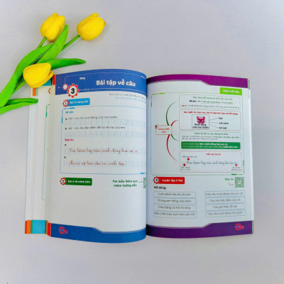  Chinh phục điểm 10 đề kiểm tra học kì Tiếng Việt 2 (Bộ sách KNTTVCS)