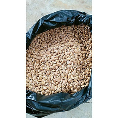 Hạt Bình Bát (Na Xiêm Khô 500G 981s