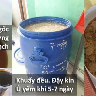 Combo 3 chai Chế phẩm sinh học EM gốc (1lit). Ủ phân cá, rác bã hữu cơ hoai mục không mùi hôi. Làm phân bón giàu dinh dưỡng cho cây trồng. Men vi sinh Đại Học Nông Nghiệp 1. HSD: 2 năm 