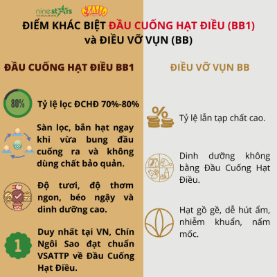 Đầu cuống hạt điều sống O