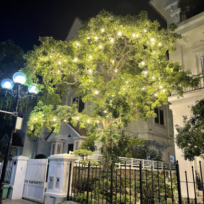 COMBO 3 Bóng đèn LED bulb tròn LEDGOES 3W