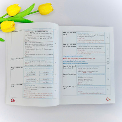  Chinh phục điểm 10 đề kiểm tra học kì Tiếng Việt 2 (Bộ sách KNTTVCS)