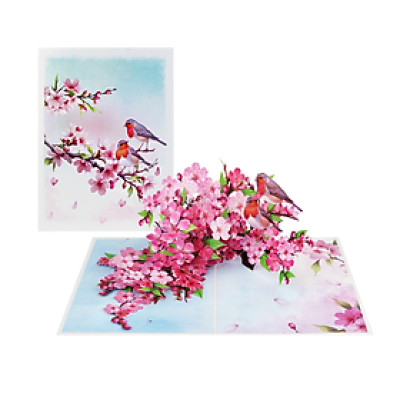 Thiệp 3D Pop Up Hoa Anh Đào & Chim – Thiệp Nghệ Thuật, Thiệp Chúc Mừng, Sinh Nhật, Nhật Bản, F50
