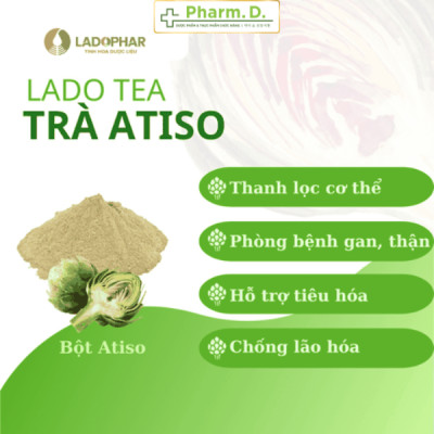 [CHÍNH HÃNG] Trà Thảo Mộc Actiso Hỗ Trợ Chức Năng Gan Thanh Lọc Cơ Thể 20 Túi Lọc