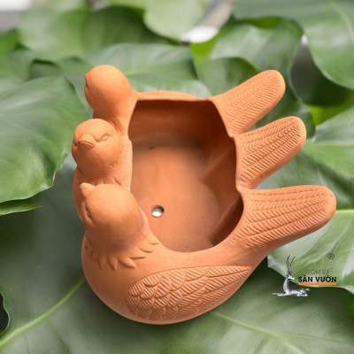 Chậu 3 Chú Chim Gốm Đất Nung Trồng Sen Đá