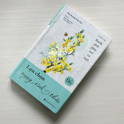 Sách - Lựa Chọn Trong Tỉnh Thức - Tập 6 - Tuyển Tập Ranh Giới Giữa Mê Và Ngộ - Vĩnh Nghiêm Books