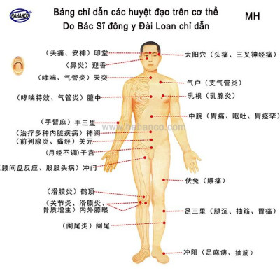 Dụng cụ điện chẩn - DAY ẤN HUYỆT GAN /MẬT BẰNG SỪNG đả thông kinh mạch.