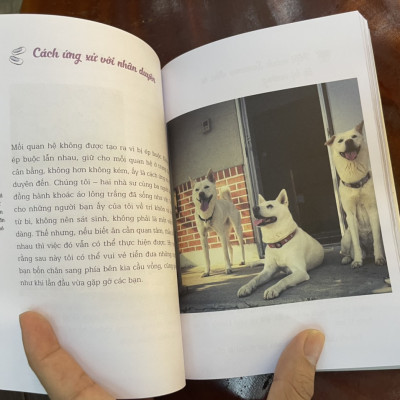 NHÀ SƯ DỌN PHÂN CHÓ - Jinyeop – Vương Thuý Quỳnh Anh dịch – Thái Hà – NXB Lao Động 