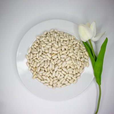 Đậu Trắng tây nhập khẩu từ Myanmar