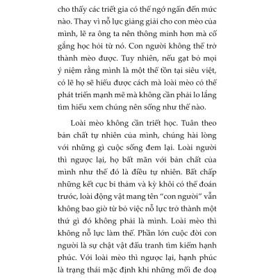 Mèo Và Triết Lý Nhân Sinh