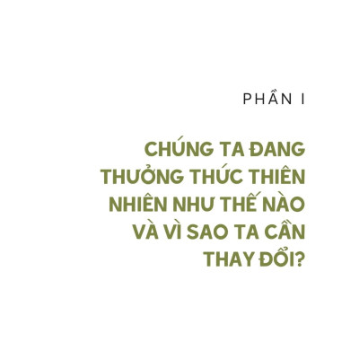 Vẻ Đẹp Của Cảnh Sắc Tầm Thường - Hay Vì Sao Chúng Ta Cần Thay Đổi Cách Thưởng Thức Thiên Nhiên?