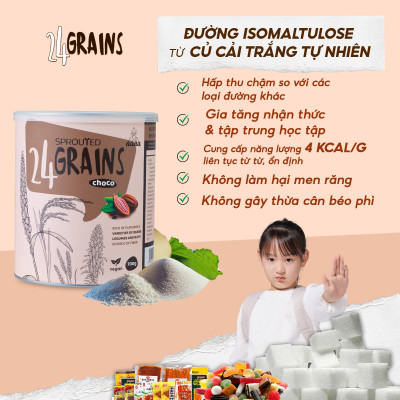 Thùng 12 Hộp Sữa Hạt Từ Gạo Lứt Hữu Cơ Nảy Mầm 24Grains Vị Socola Tự Nhiên Cho Trẻ Từ 3 Tuổi & Cả Gia Đình