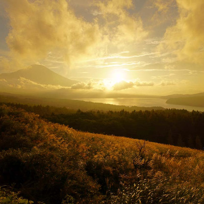 ống kính máy ảnh hiệu Tamron AF 20mm F/2.8 Di III OSD - cho Sony E (F050) - HÀNG CHÍNH HÃNG