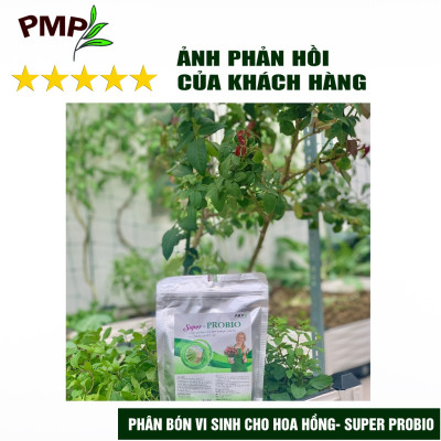 Combo Phân Hữu Cơ Cao Cấp Super Probio & Giá Thể Bã Mía Cho Hoa Hồng, Rau Sạch, Cây Cảnh