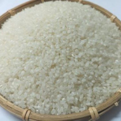 Gạo Nhật Fuji Sukura 2 KG (Giống Nhật trồng tại Việt Nam)