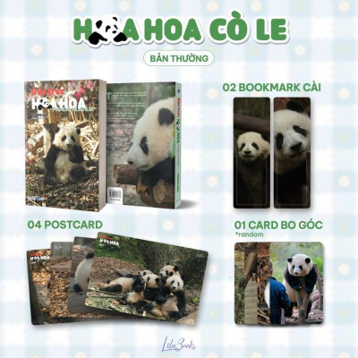 Gấu trúc Hoa Hoa - Amak