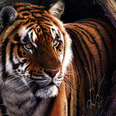 Bộ tranh xếp hình jigsaw puzzle cao cấp 330 mảnh – Chúa Sơn Lâm