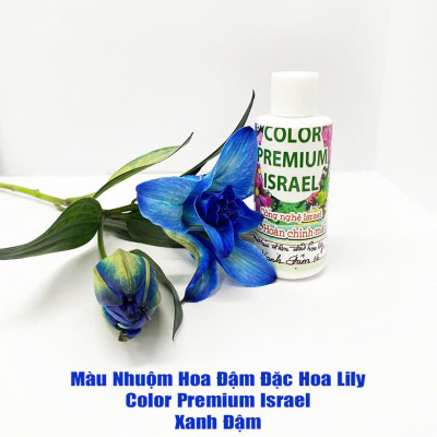 Thuốc Nước Nhuộm Hoa Lily  (chai đậm đặc 100ml pha 1L nước màu hoàn chỉnh) công nghệ Israel nhuộm hoa lily cánh mỏng mà không bị cháy lá hoa