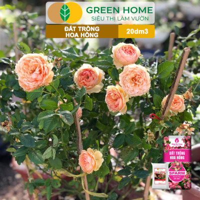 Đất Trồng Hoa Hồng Greenhome, Sfarm, Bao 20dm3 (8kg), Hữu Cơ, Trộn Sẵn, Tiện Lợi, Đầy Đủ Dinh Dưỡng