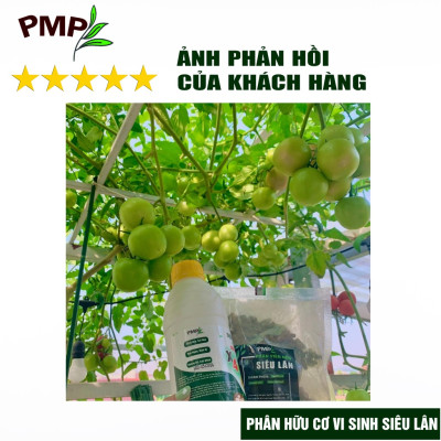 Phân tan chậm vi sinh siêu lân PMP bón cho hoa hồng, cây cảnh, rau sạch dạng viên nén 2kg