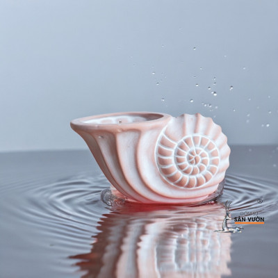 Chậu Đất Nung Hình Vỏ Sò Nhỏ