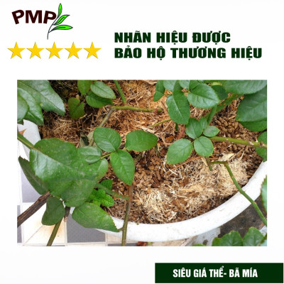 Combo Phân Hữu Cơ Cao Cấp Super Probio & Giá Thể Bã Mía Cho Hoa Hồng, Rau Sạch, Cây Cảnh