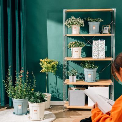 Chậu trồng cây decor MONROVIA kèm đĩa lót, trồng hoa, trang trí trong nhà, ngoài trời, ban công, tiêu chuẩn châu Âu