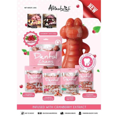 Dental Chew snack gặm sạch răng cho chó - snack cho chó 