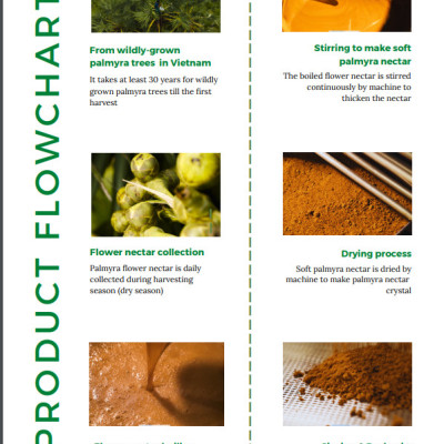 PALMANIA Mật thốt nốt hạt 150G | Nguyên Chất, Tự Nhiên & Vì Sức Khỏe | Đặc sản An Giang