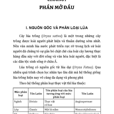 Kỹ Thuật Trồng, Chăm Sóc, Thu Hoạch, Bảo Quản Và Các Công Nghệ Sau Thu Hoạch Lúa