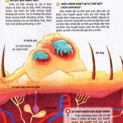 Thế Giới Những Điều Chưa Biết (Tập 5) - Cơ Thể Người