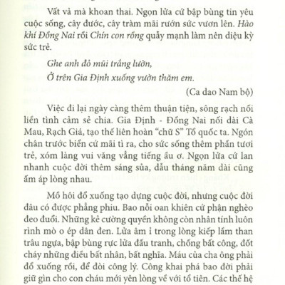 Nam Bộ Vài Nét Lịch Sử - Văn Hóa (Tập 3)